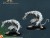 Rat ogre 1.1.jpg