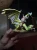 il_fullxfull.6951346645_70vj.jpg